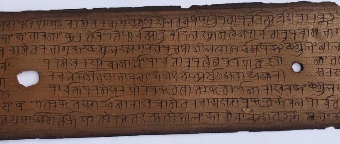 Alessandro’s field trip to India: Sanskrit manuscripts from Kerala and Karnataka